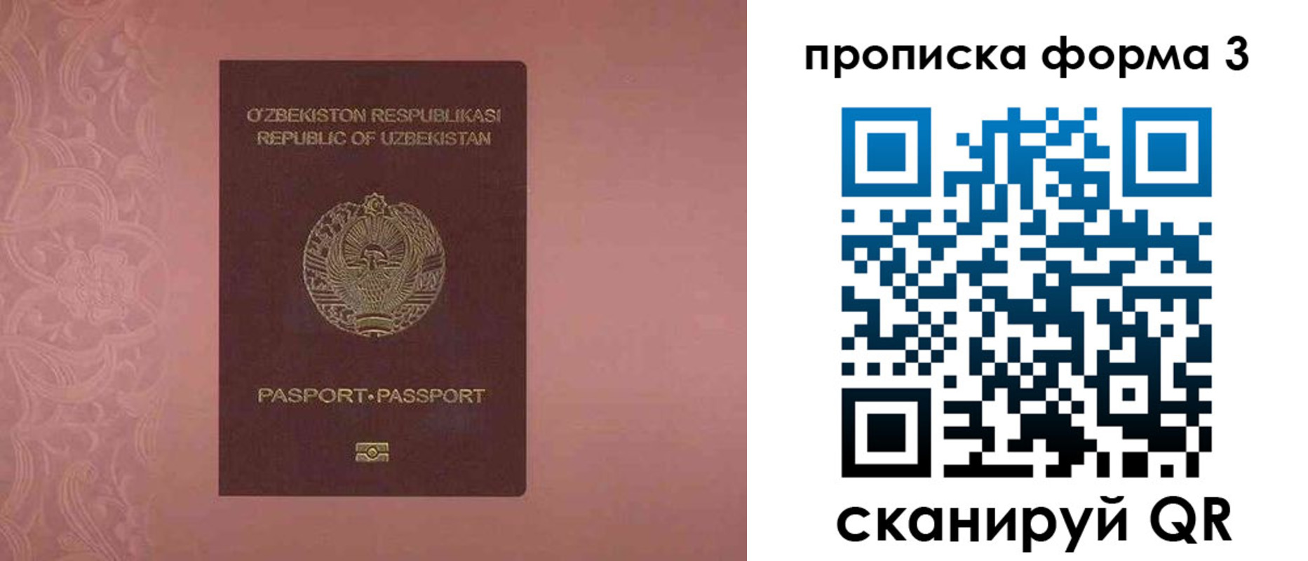 регистрация в Новгородской области